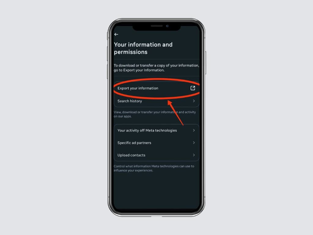 Your information and permissions screen with the “Export your information” button highlighted.