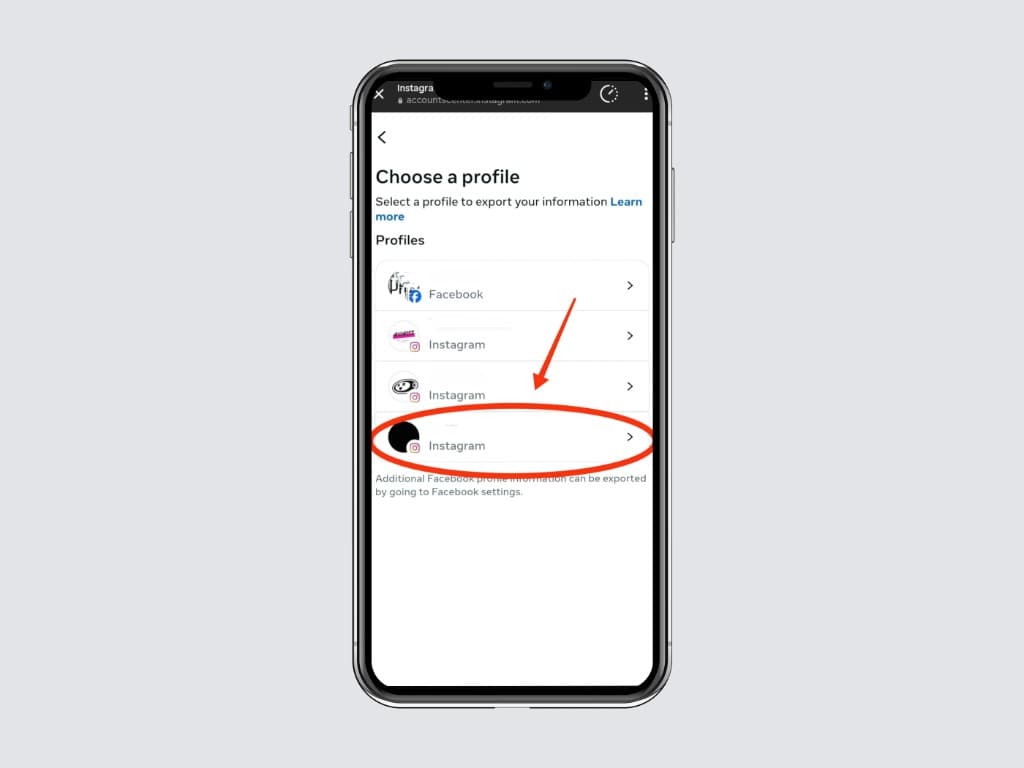 Choose a profile screen with multiple Instagram and Facebook profiles listed; the target Instagram profile is highlighted.