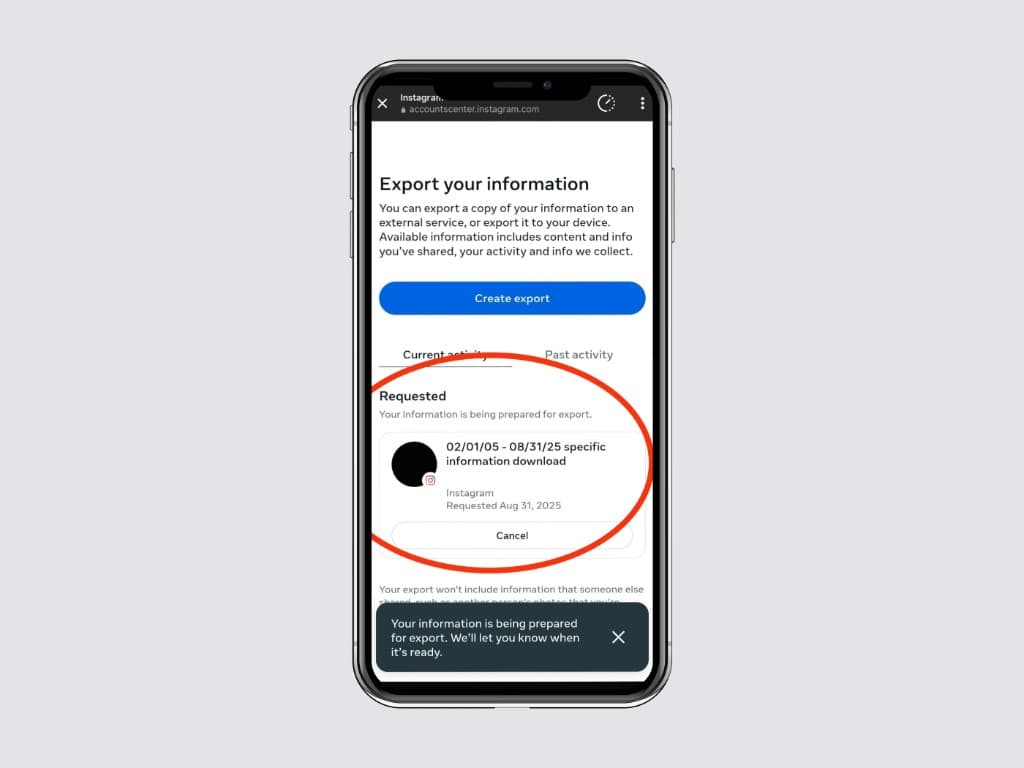 Confirmation screen saying the data export has been requested.